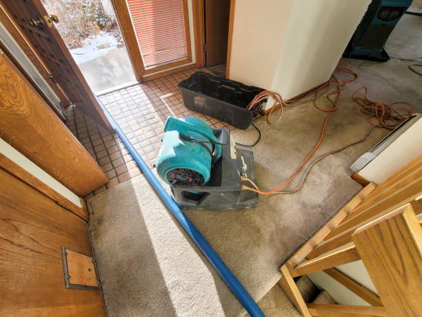 Best 24-hour water damage restoration  in Pembroke, NC