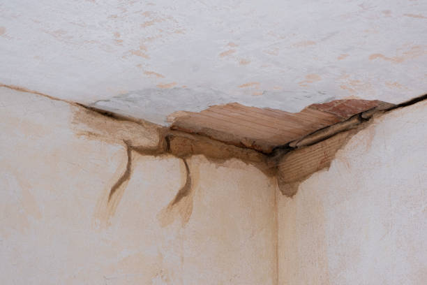 Best Commercial water damage restoration  in Pembroke, NC