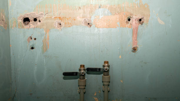 Best Basement water damage restoration  in Pembroke, NC