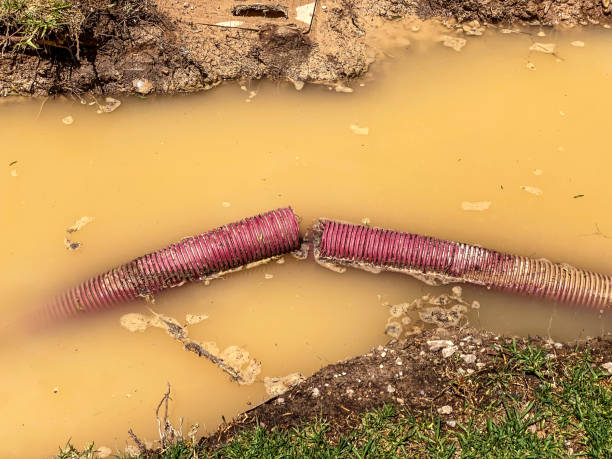 Best Professional water damage repair  in Pembroke, NC