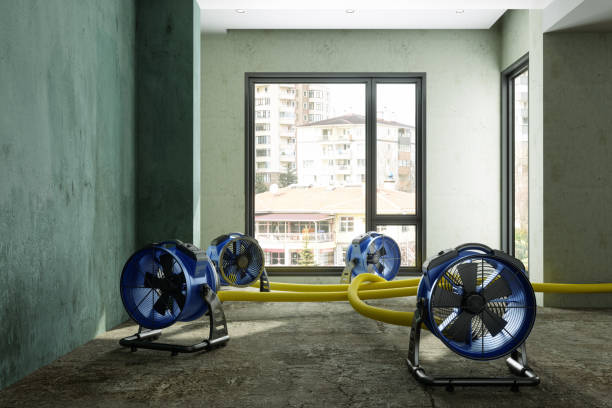 Best Mold removal after water damage  in Pembroke, NC